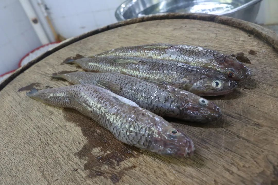 【美食汕头】汕头达濠鱼丸,凭实力"出圈"