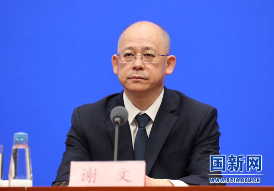 国家税务总局货物和劳务税司司长谢文(图片来源:国新网)