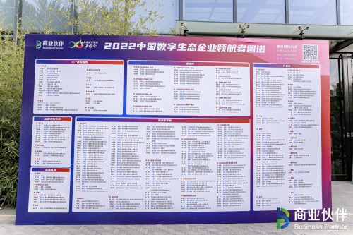 　　2022数字生态企业领航者图谱