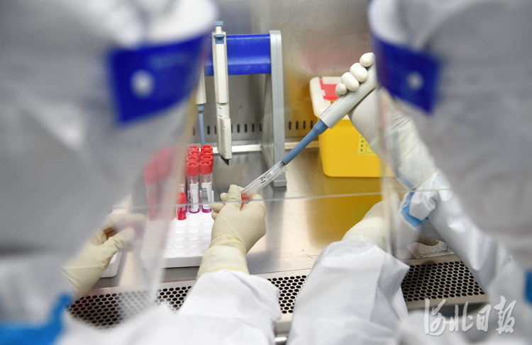 河北省邢台经济开发区医院核酸检测(pcr)实验室检测人员在用加样枪将