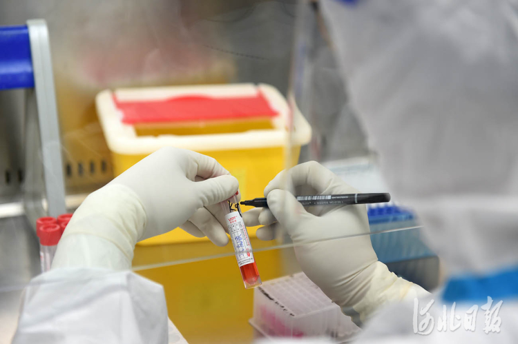 河北省邢台经济开发区医院核酸检测(pcr)实验室检测人员对所接收的