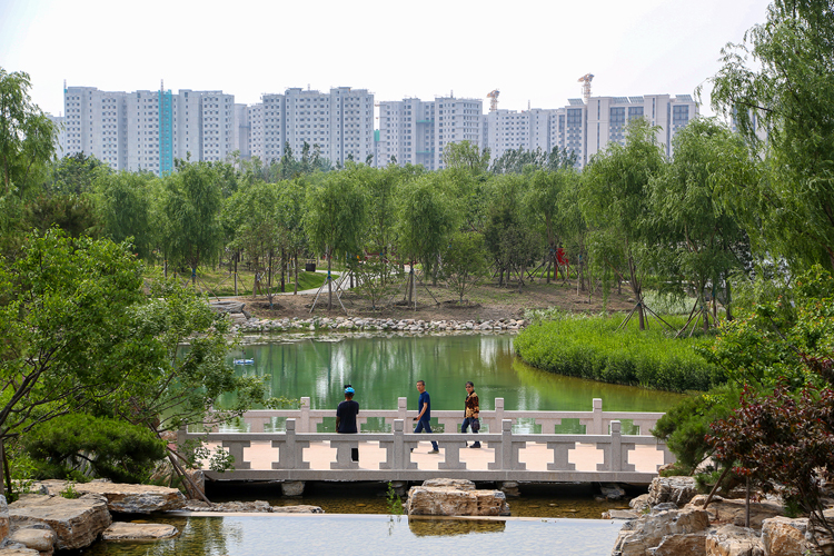 大兴旧宫城市森林公园.何建勇摄