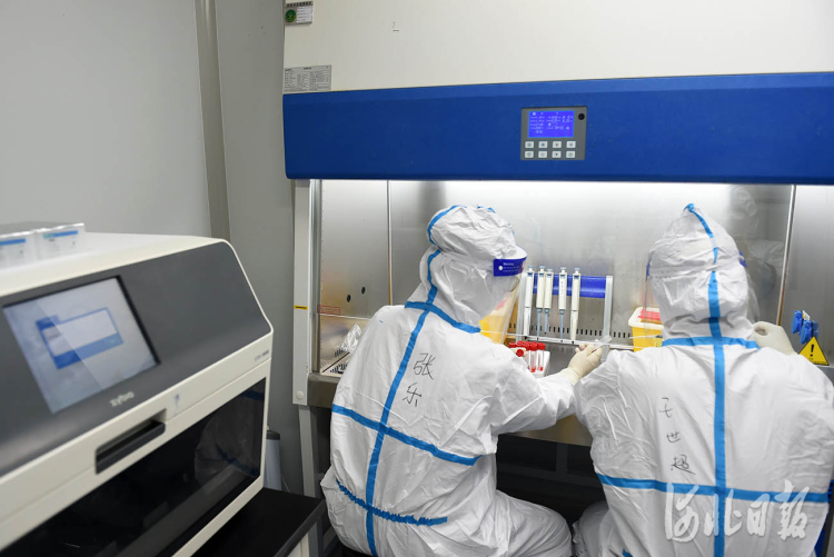 河北省邢台经济开发区医院核酸检测(pcr)实验室检测人员对标本进行