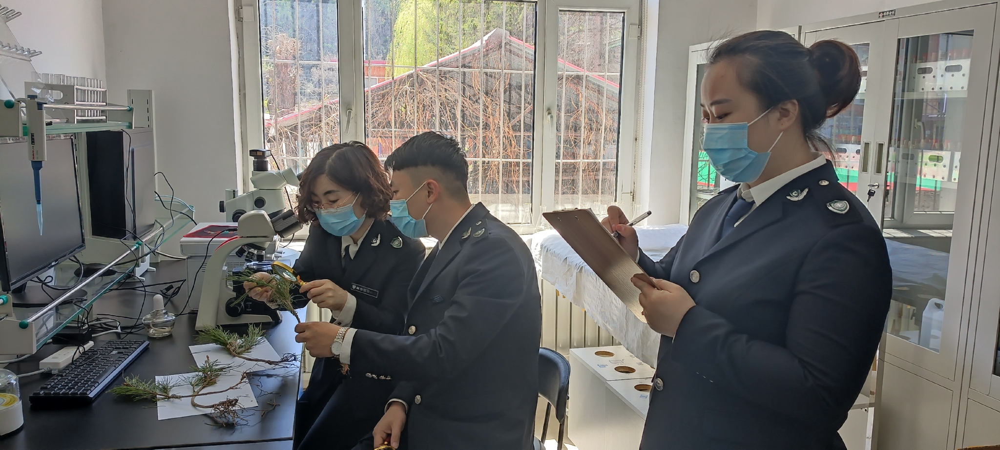 松材线虫病及美国白蛾疫区公告,宣讲植物检疫的必要性,外来林业有害