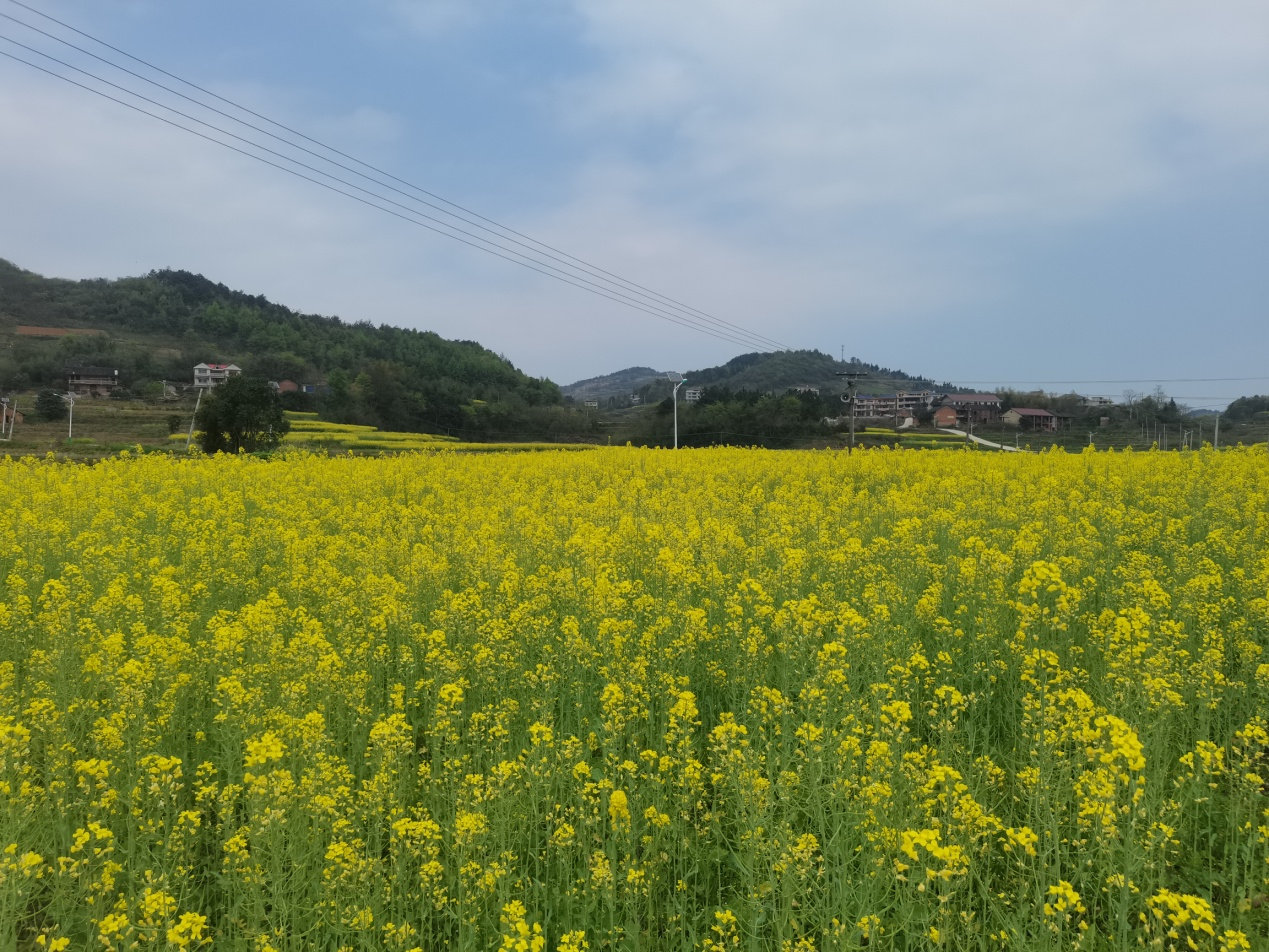 湖南67邵东农文旅融合助力乡村振兴