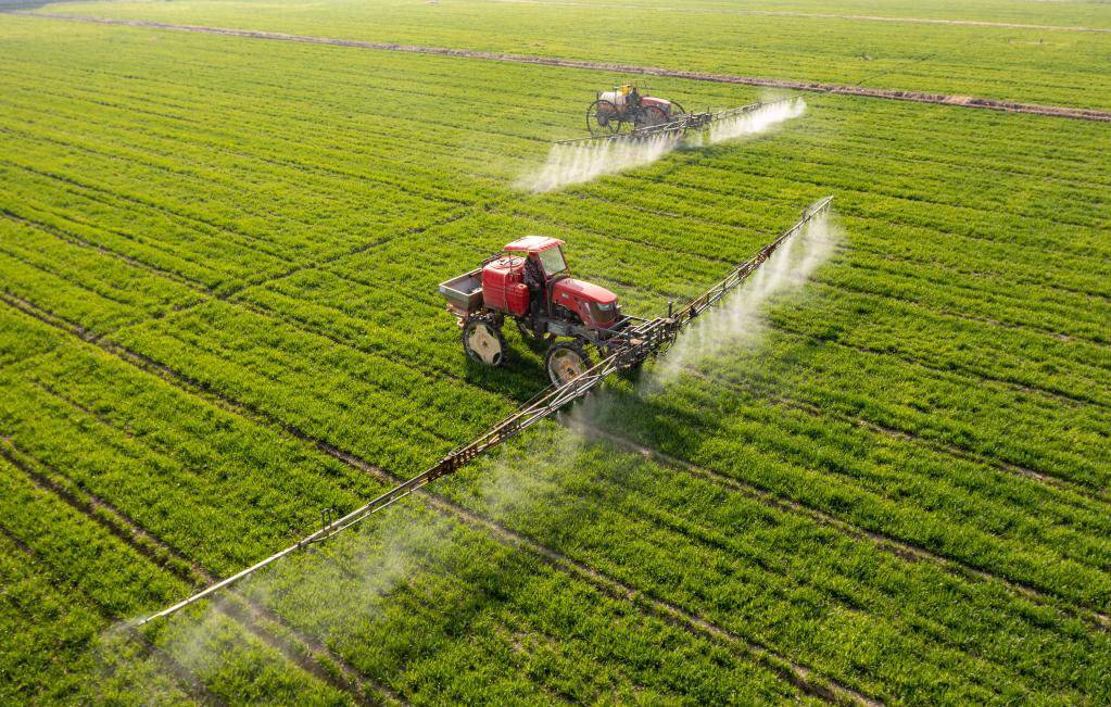 农业农村部决不能以疫情防控为由减少粮食播种面积