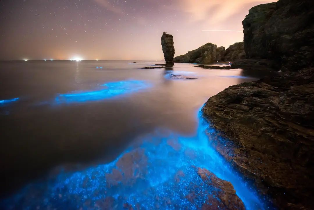 因此被称作"蓝眼泪"就像大海流出的眼泪这类蓝光会随着海浪此起彼伏而