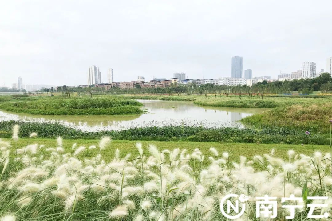 南宁再添新地标心圩江明月湖公园正式开园