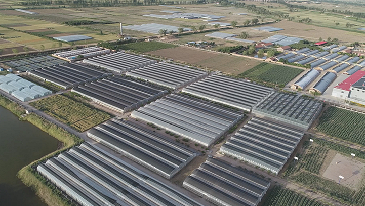 青县司马庄绿豪农业专业合作社入选全国质量控制技术试点单位