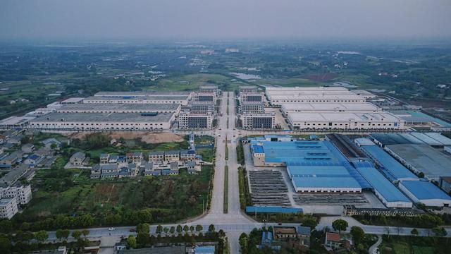 华容酸菜出坑进行时