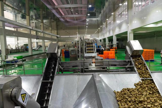 现代化酱腌菜加工厂内景.受访者供图
