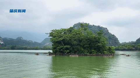 图源 西江日报记者 林韵