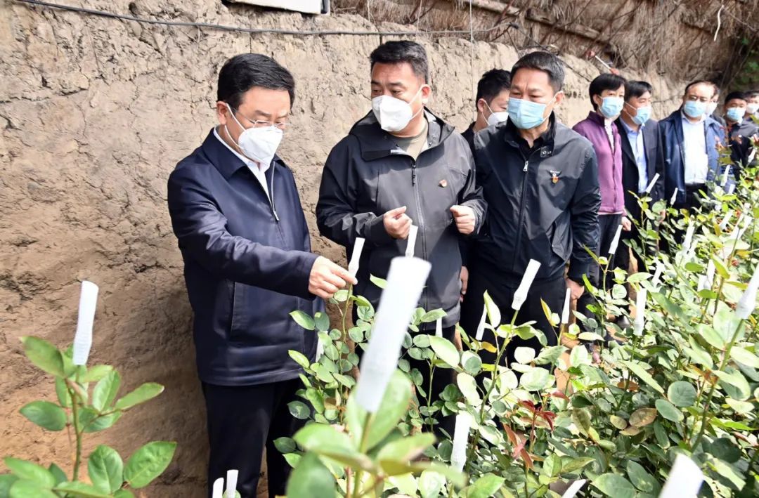 王新伟到辽中区新民市调研时要求推动农业农村现代化迈出新步伐