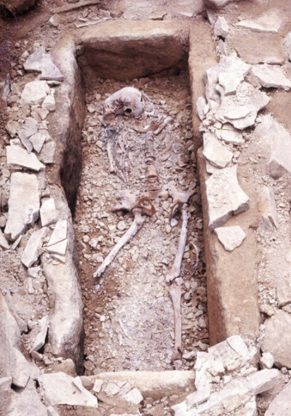 日本将用cg技术复原上世纪出土骸骨首次再现千年前女贵族姿态