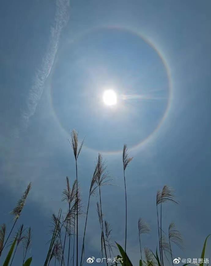 广州太阳光晕图片