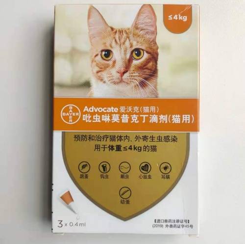 春天预防寄生虫 猫咪驱虫这样做 猫 寄生虫 铲屎官 新浪新闻