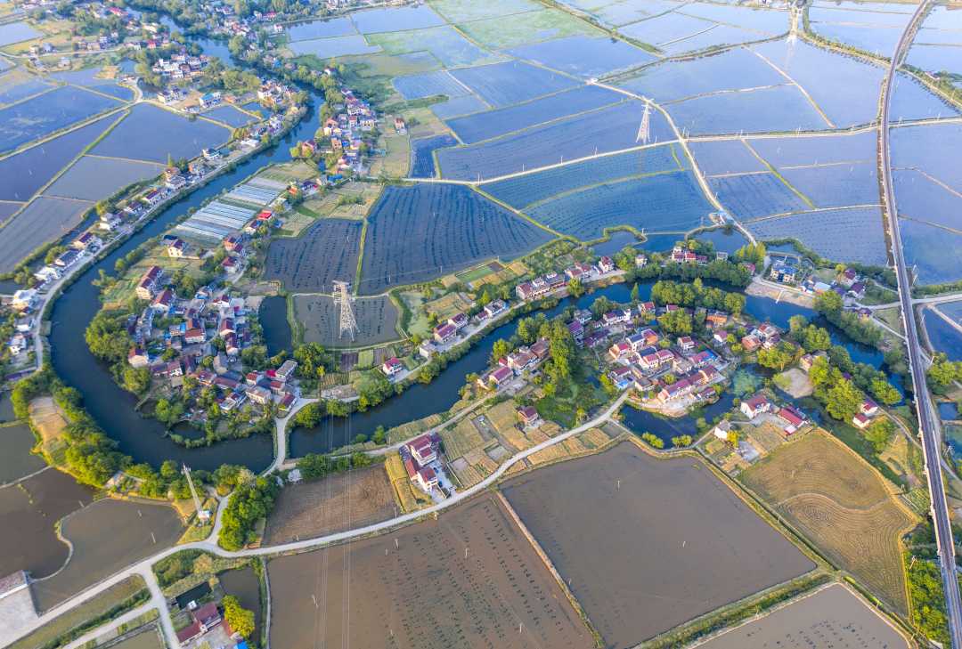 5月4日,安徽省庐江县泥河镇国家级稻渔养殖示范基地,万亩虾田水清岸绿