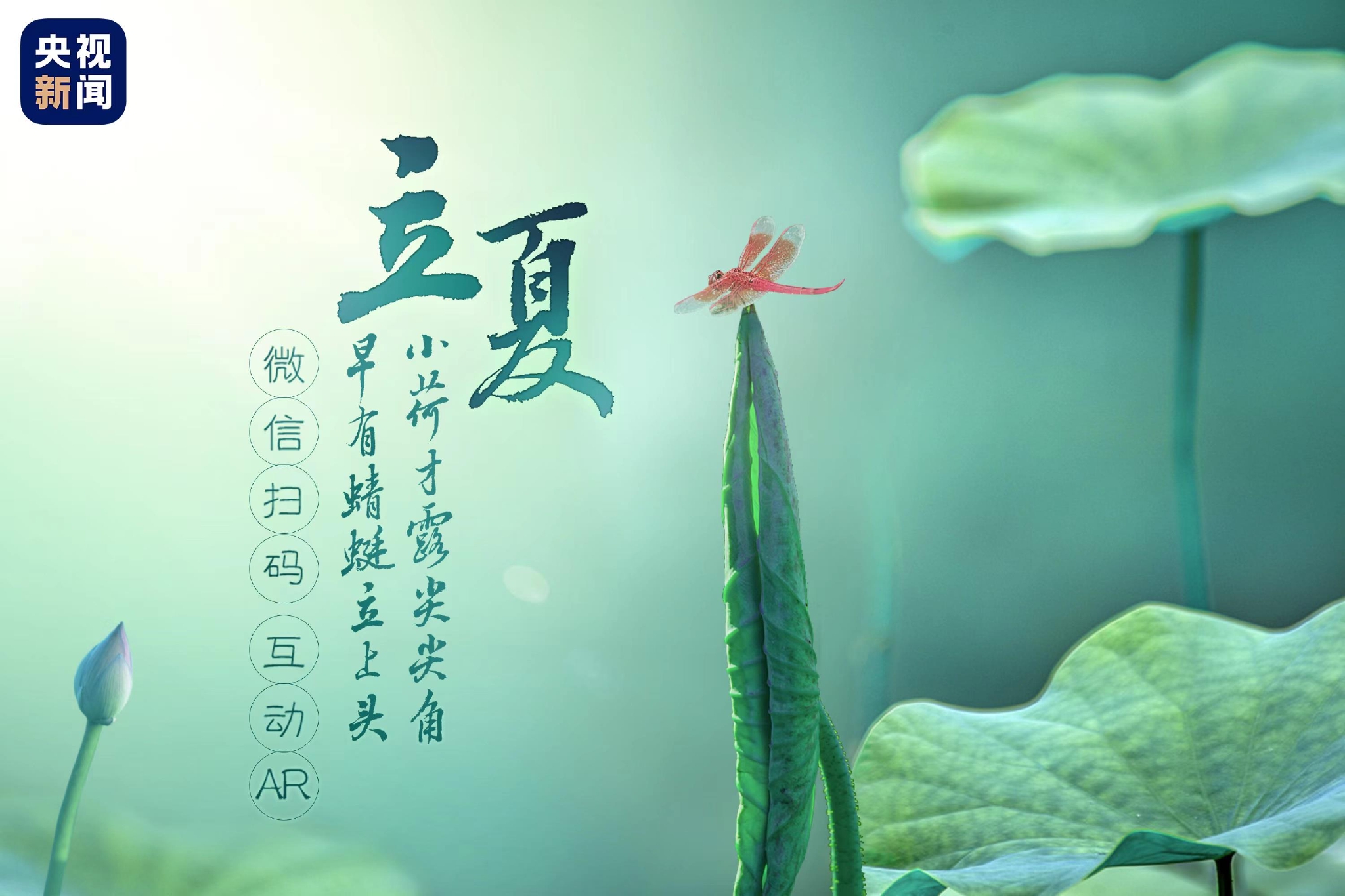 互动ar丨古诗中的"小荷才露尖尖角"有多可爱
