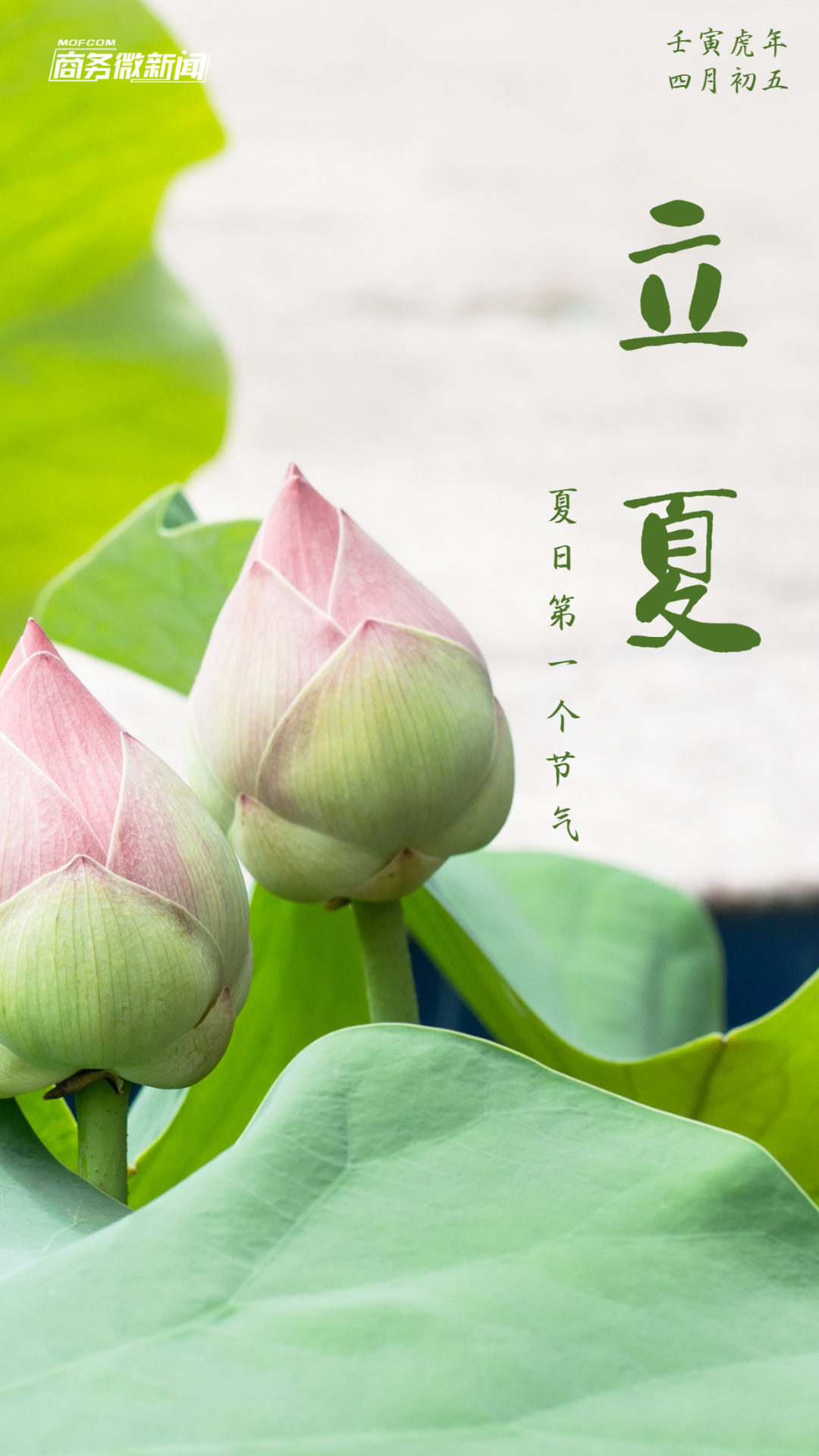 二十四节气今日立夏