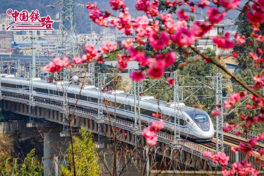 动车组列车行驶在云桂铁路上.陈泉任摄
