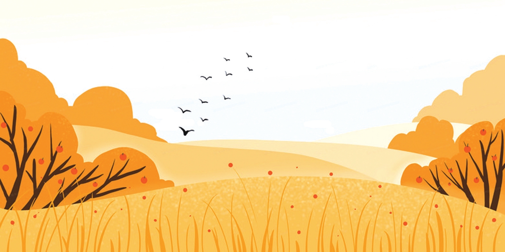 我喜欢秋天的颜色