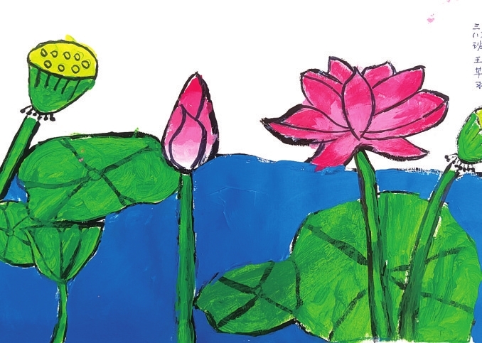 "映日荷花别样红"|小学_新浪财经_新浪网