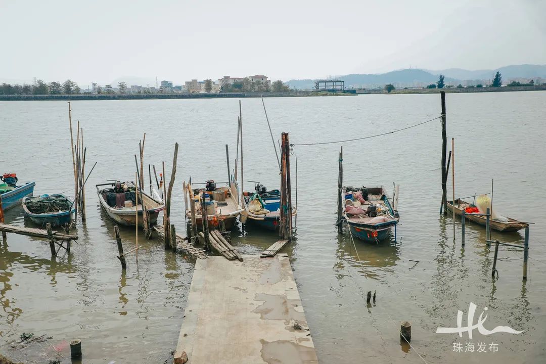红墙绿树,漫江碧透,珠海这座古老渔村有"黄金"|珠海市_新浪财经_新浪