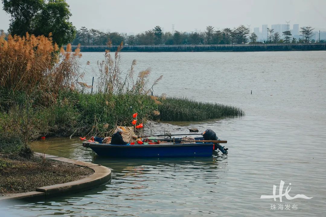 红墙绿树,漫江碧透,珠海这座古老渔村有"黄金"|珠海市_新浪财经_新浪