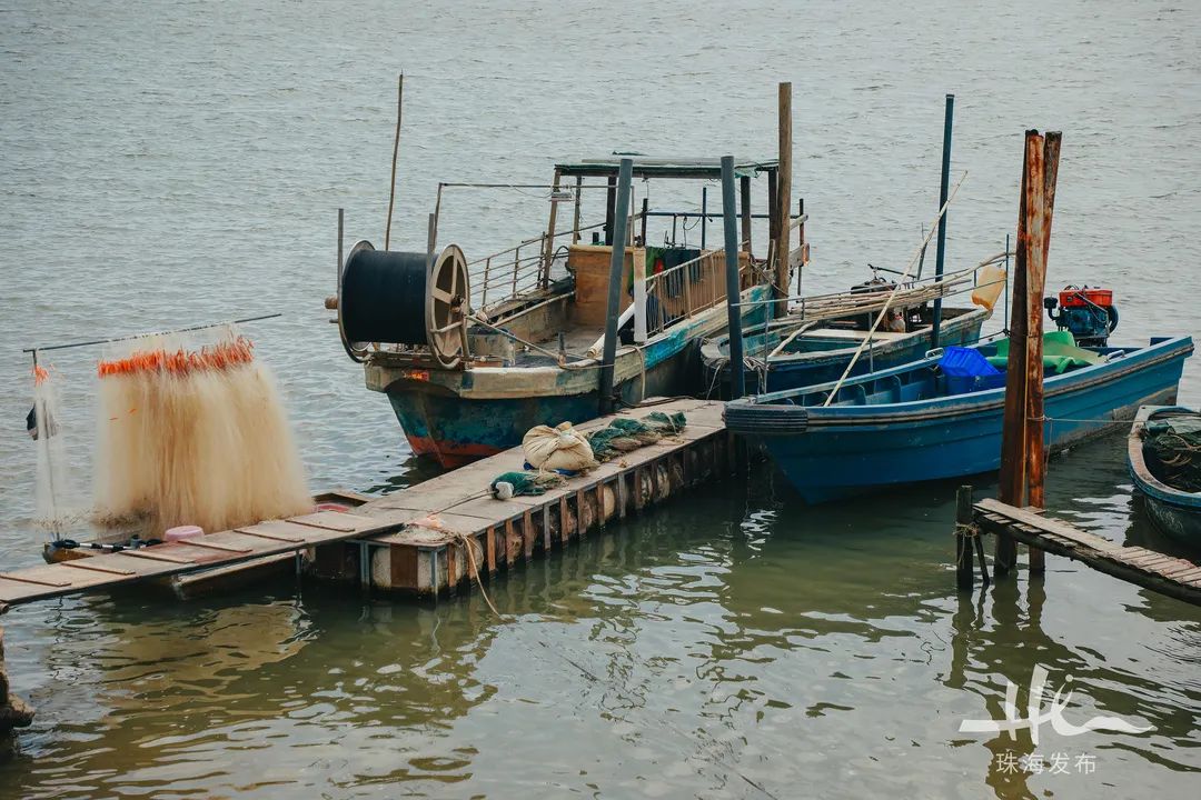 红墙绿树,漫江碧透,珠海这座古老渔村有"黄金"|珠海市_新浪财经_新浪