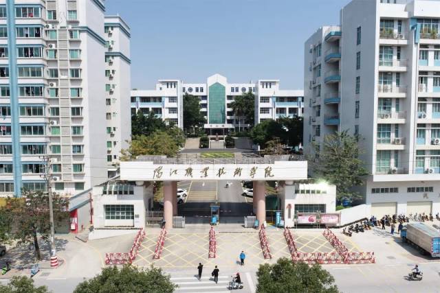 阳江职业技术学院李德豪教授团队成果荣获中国产学研合作创新成果奖