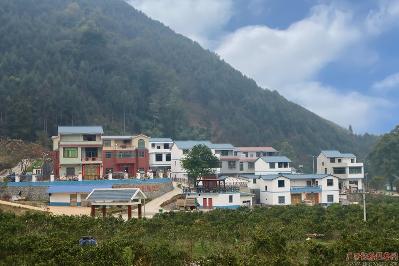 土博镇北隆村北伍屯新貌