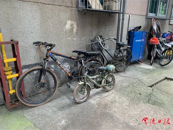 我学会U8国际- U8国际官方网站- U8国际APP下载骑自行车作文600字6篇docx