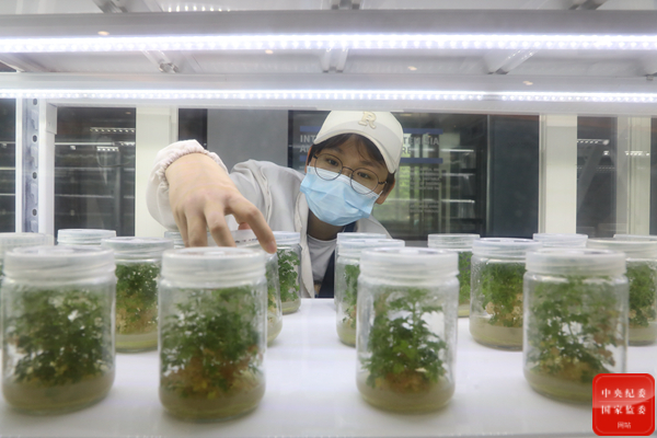 全国各地落实培育