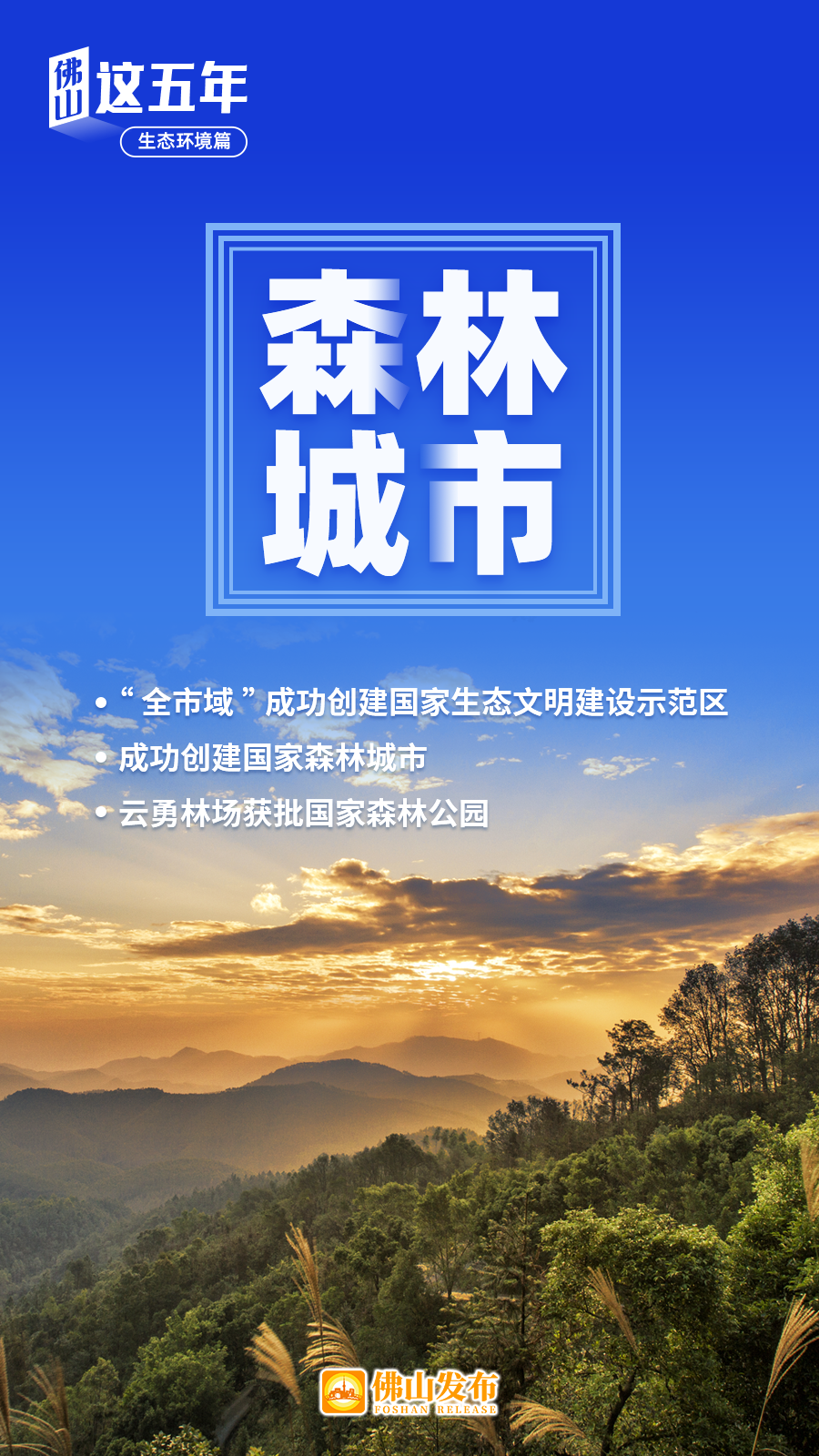 佛山云蒸霞蔚,绿城飞花"绿妆"满城,水脉环城……全面消除城市黑臭水体