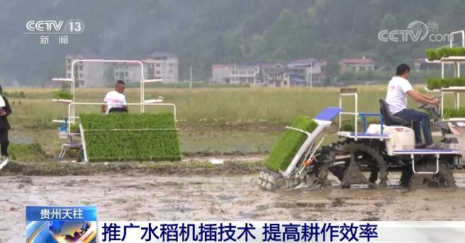 贵州天柱县推广水稻全程机械化技术 提高耕作效率