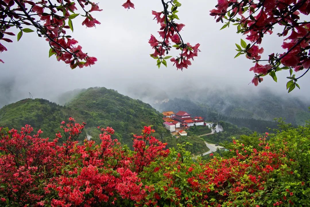 诗画永州四季皆美景永州重点推荐五条精品线路