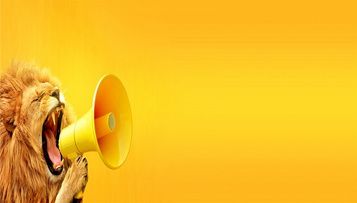 “违规担保被大股东“掏空” ST天润年报遭监管追问