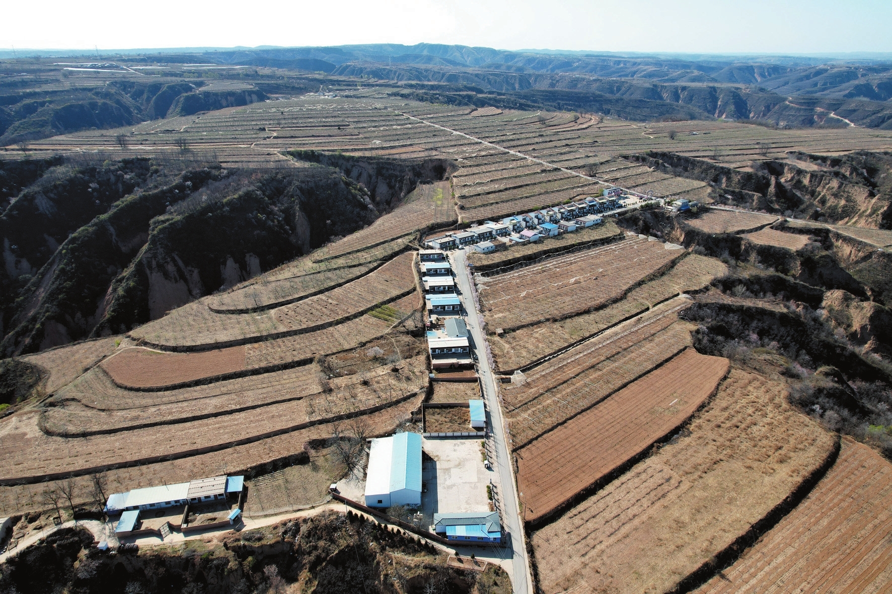 延安市宜川县云岩镇辛户村发展的苹果种植基地(4月2日摄,无人机照片).