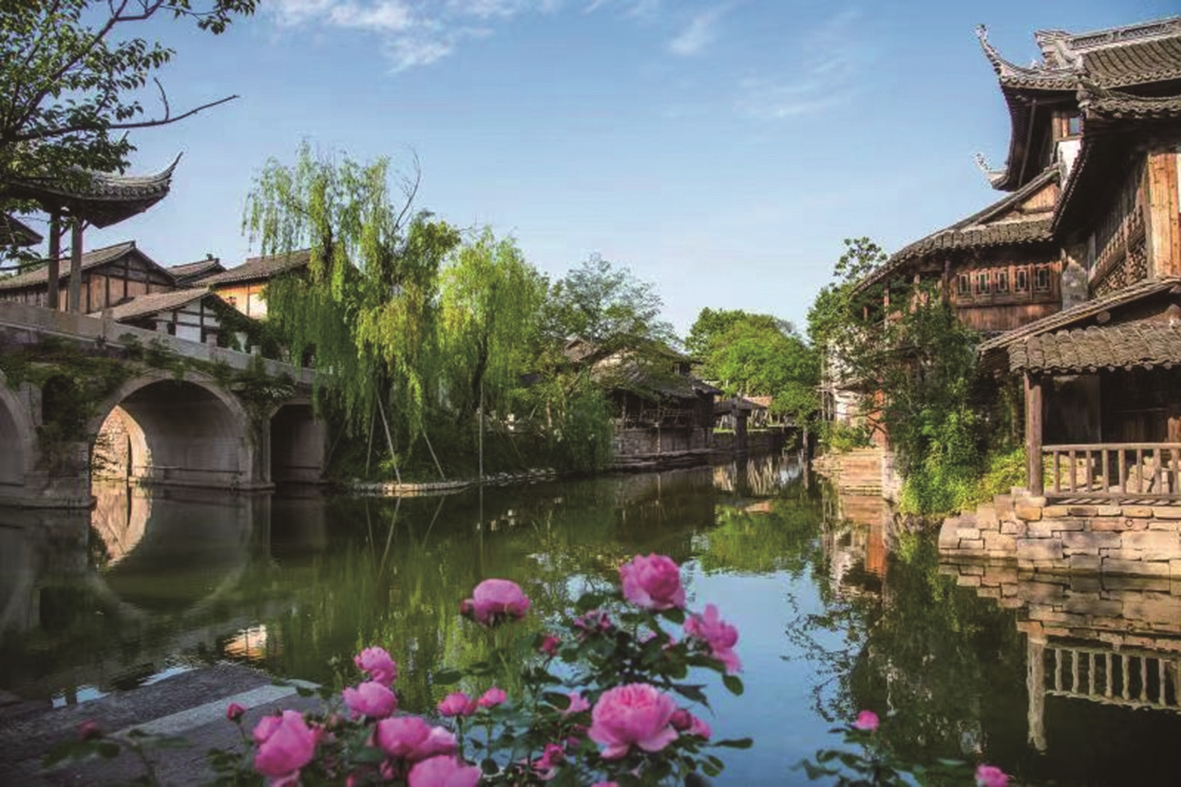 根据新能源发展贡献,桐乡濮院小巷子里爱情还有吗？2025实地探访与情感观察实录