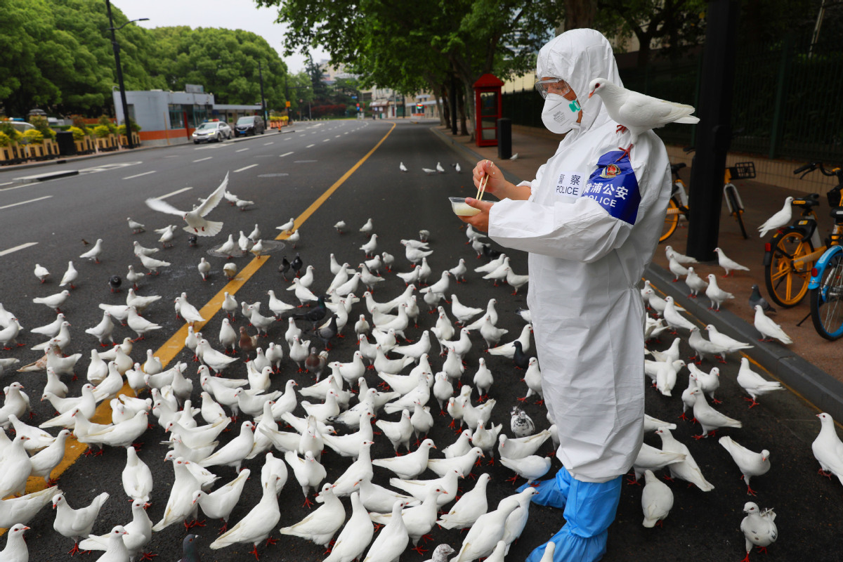 5月11日，上海市人民广场附近，黄浦公安分局民警刘建伟在巡逻间隙给鸽子喂食。（中国日报记者 朱兴鑫 摄）