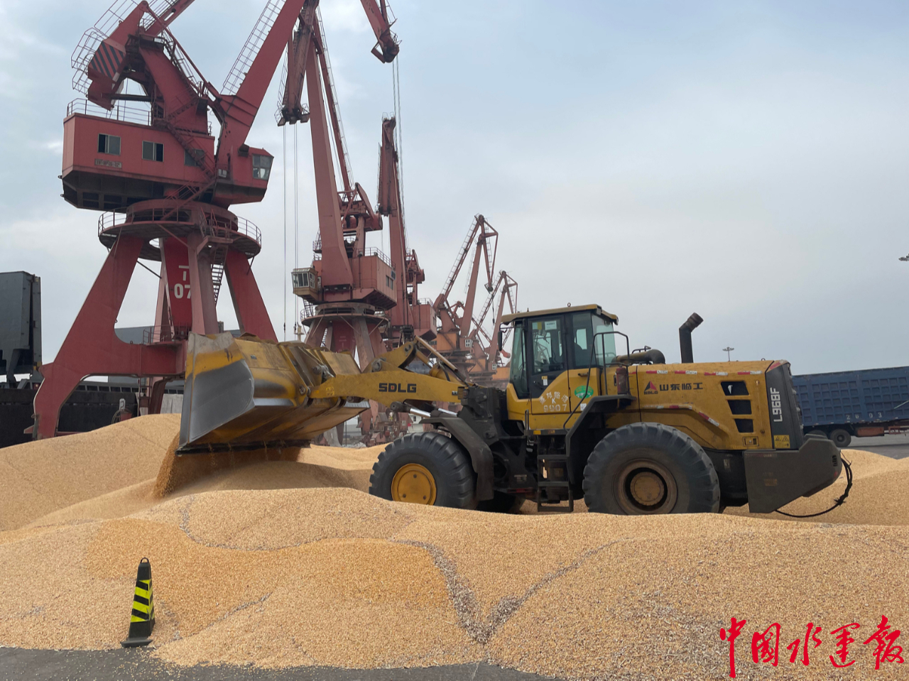 锦州海事开辟绿色通道保障粮食运输