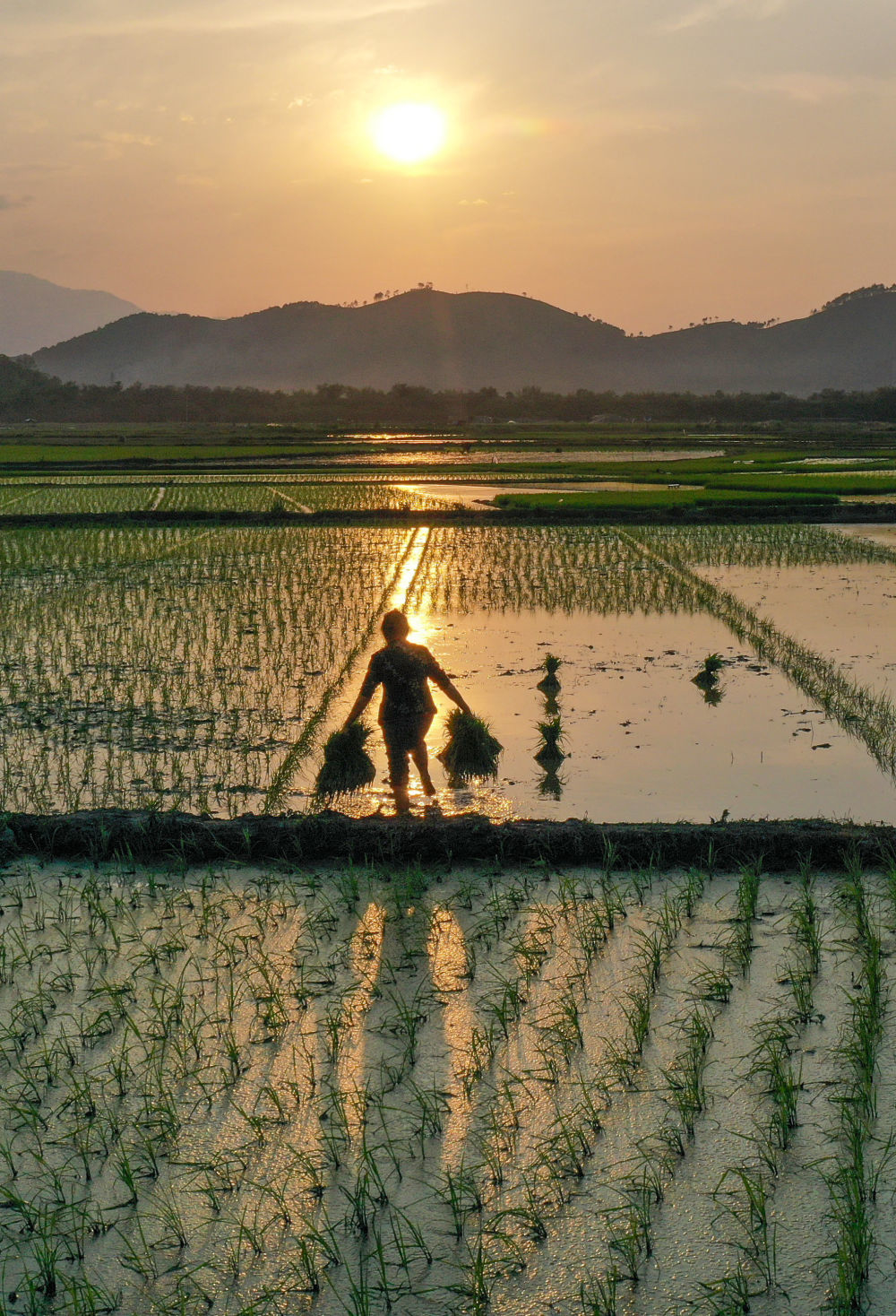 诗意中国乡村四月闲人少才了蚕桑又插田
