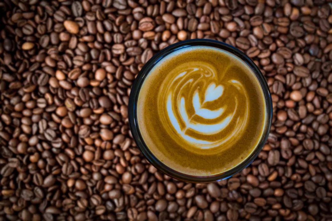 基因组测序揭开小粒咖啡神秘面纱丨花花万物