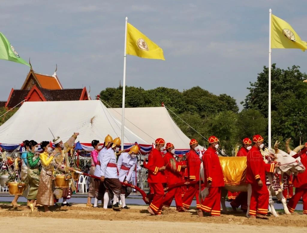 泰国恢复举办传统春耕节仪式