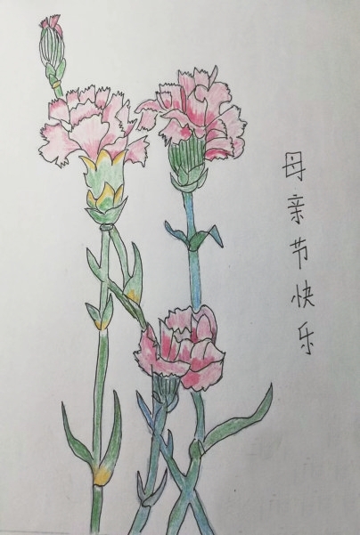 "感恩母亲节"绘画直播课部分作品展示