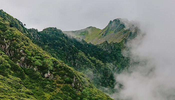 图片来源:视觉中国