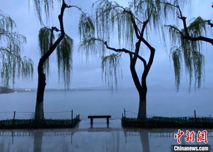 我拍的是老朋友作者 童笑雨"西湖边的每棵树,我都当人一样对待,是老