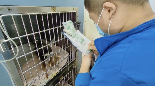 院内设有带icu的住院部,以及血透,x光,b超,核磁共振等各类设备.