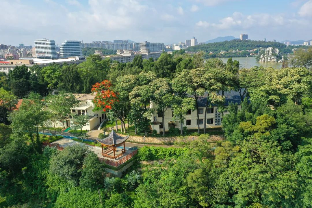 肇庆这个地方实现功能性通车内附指引图