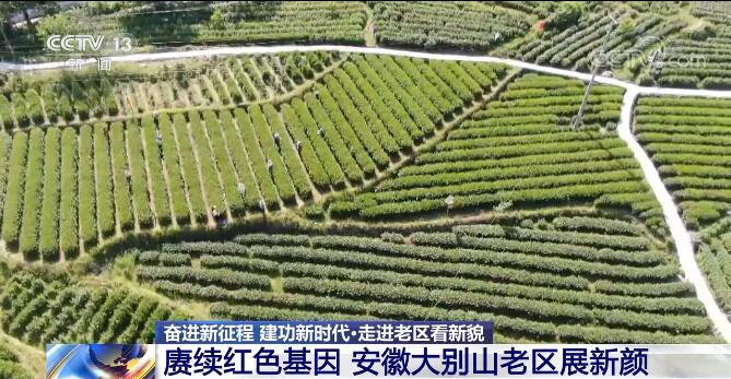 【奋进新征程 建功新时代·走进老区看新貌】赓续红色基因 安徽大别山老区展新颜